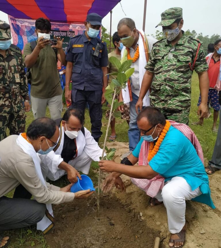 प्रदेश २ मा साढे १४ लाख बिरुवा रोपिदै