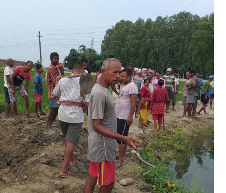 कुलो मासेको भन्दै बिरोध